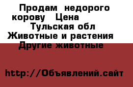 Продам  недорого корову › Цена ­ 80 000 - Тульская обл. Животные и растения » Другие животные   